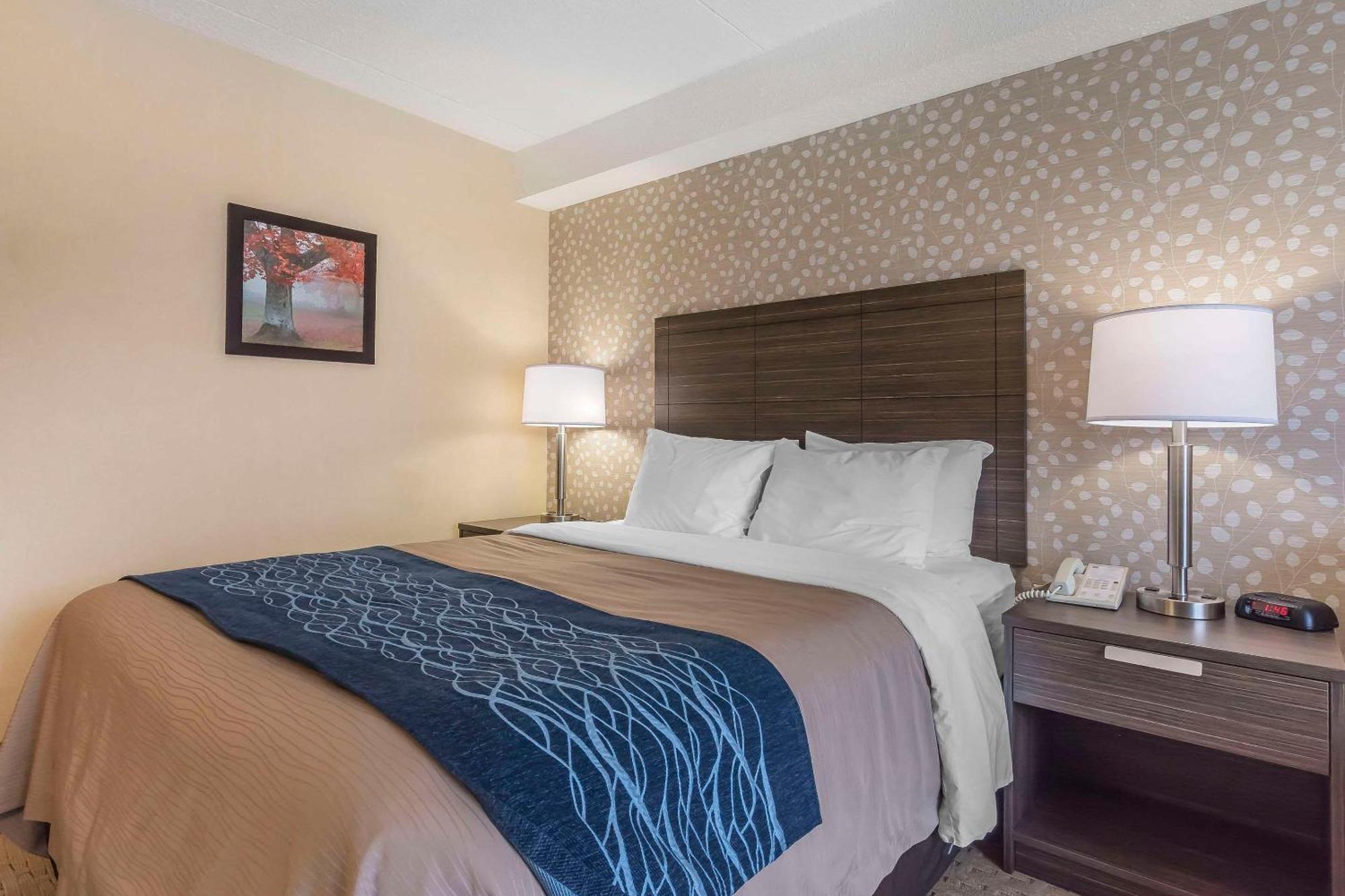 Comfort Inn Lévis Eksteriør bilde