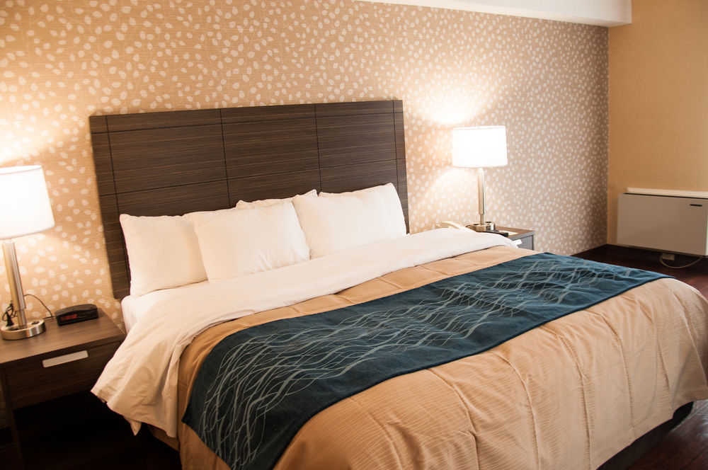 Comfort Inn Lévis Eksteriør bilde