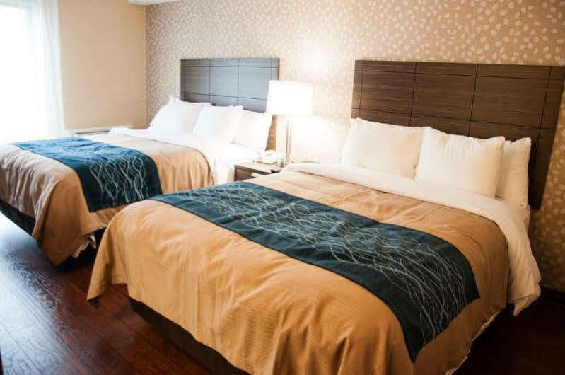 Comfort Inn Lévis Eksteriør bilde