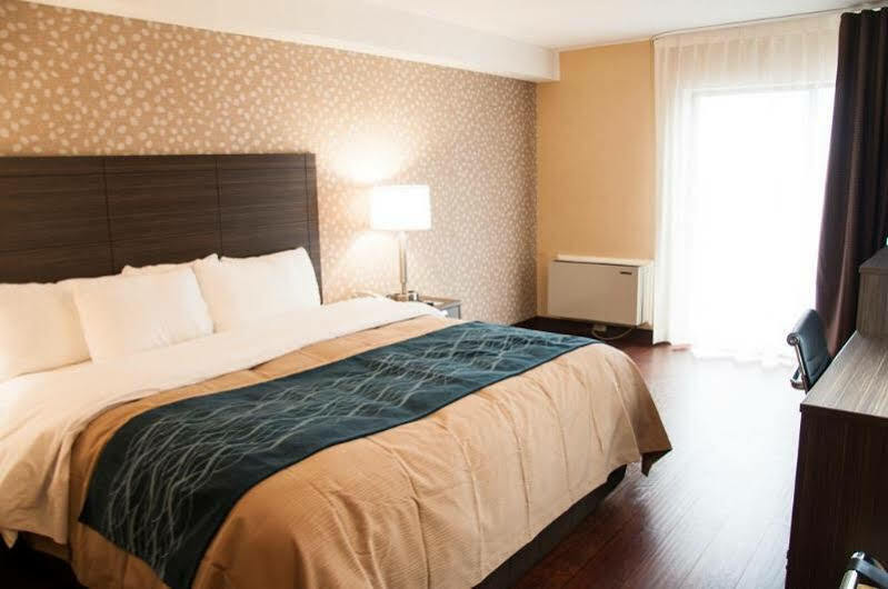 Comfort Inn Lévis Eksteriør bilde