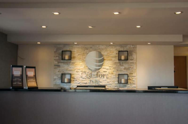 Comfort Inn Lévis Eksteriør bilde