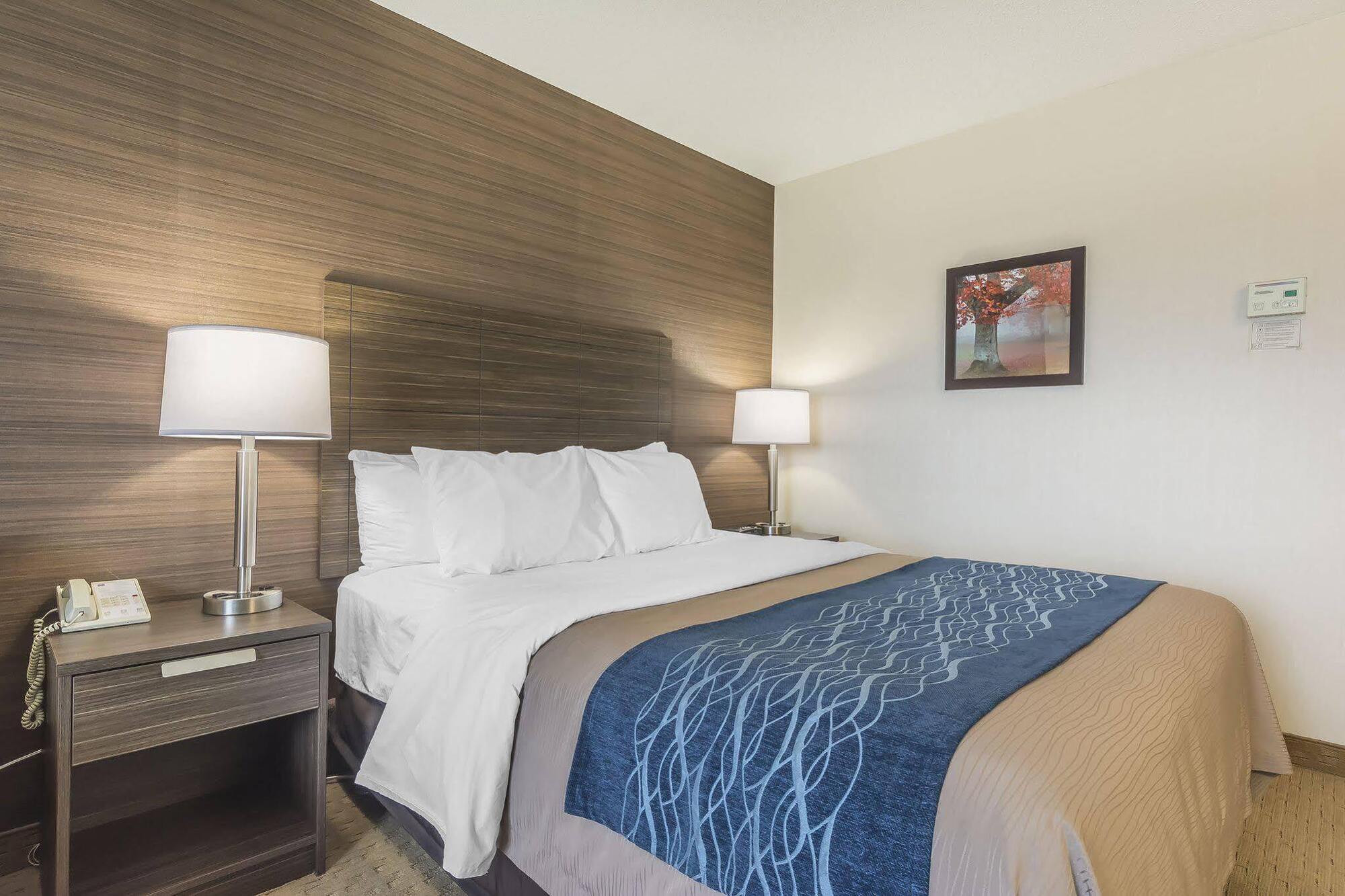 Comfort Inn Lévis Eksteriør bilde